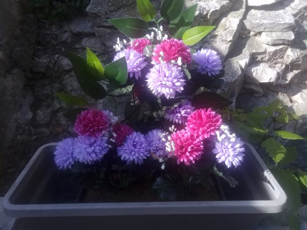 Photos de jour sur MiPad 3