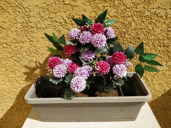 Photo Oneplus 5